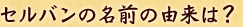 名前の由来は？