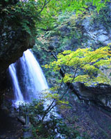 雷滝