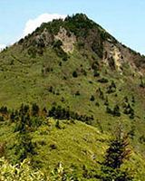 笠岳