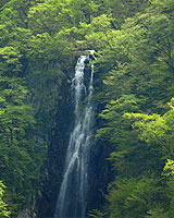 八滝