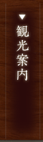 観光案内
